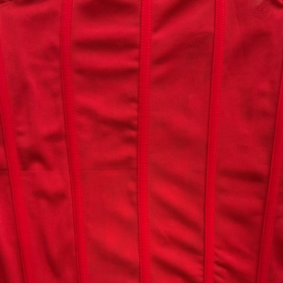 Forever 21 Red Corset Crop Top - Picture 4 of 5